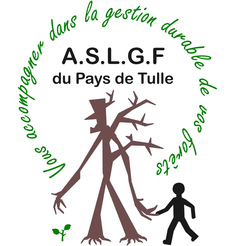 vieil arbre prend humain par la main pour le guider